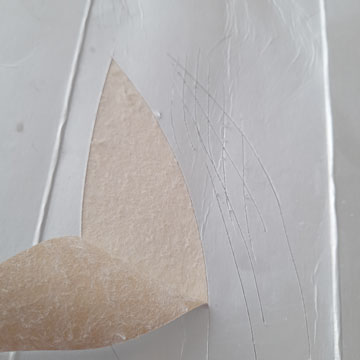 cut plate